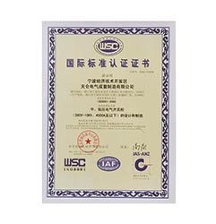 International Standard Certification